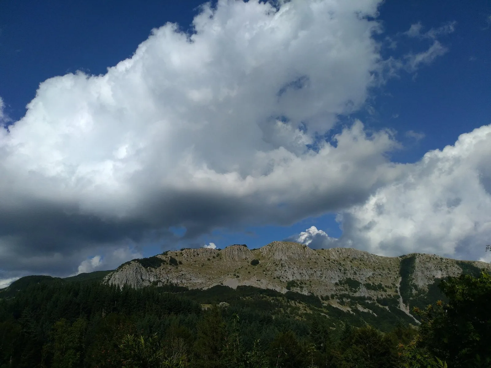 I prati e le pareti della Pania di Corfino, nella riserva dell'Orecchiella